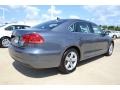 Platinum Gray Metallic - Passat 2.5L SE Photo No. 2