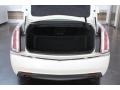 Cashmere/Cocoa Trunk Photo for 2010 Cadillac CTS #82979098