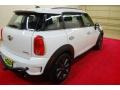 Light White - Cooper S Countryman Photo No. 6