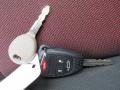 Copperhead Pearl - Avenger SXT Plus Photo No. 30