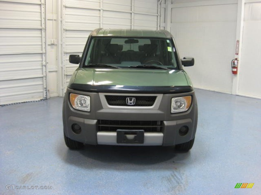 2003 Element EX AWD - Galapagos Green Metallic / Gray photo #3