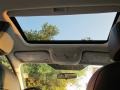 Charcoal Black Sunroof Photo for 2013 Ford Focus #83001386