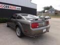 2005 Mineral Grey Metallic Ford Mustang GT Deluxe Coupe  photo #4