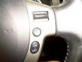 Magnetic Gray Metallic - Sentra 2.0 SL Photo No. 36