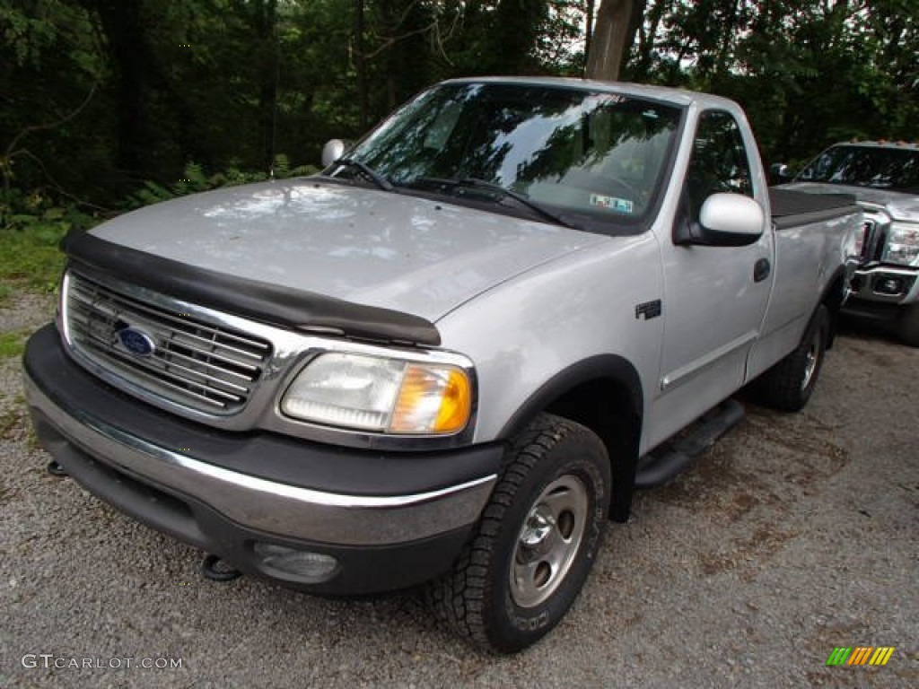 2003 F150 XLT Regular Cab 4x4 - Silver Metallic / Medium Graphite Grey photo #3