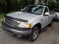 2003 Silver Metallic Ford F150 XLT Regular Cab 4x4  photo #3