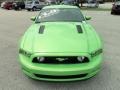 2013 Gotta Have It Green Ford Mustang GT Premium Coupe  photo #16
