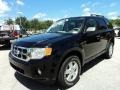 2009 Black Ford Escape XLT V6  photo #13