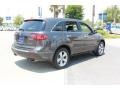 2010 Polished Metal Metallic Acura MDX Technology  photo #8