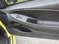 Dark Charcoal/Medium Graphite 2003 Ford Mustang Cobra Coupe Door Panel