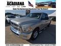 2010 Mineral Gray Metallic Dodge Ram 2500 Big Horn Edition Crew Cab  photo #1