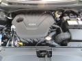 Ultra Black - Veloster  Photo No. 12
