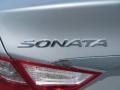 Radiant Silver - Sonata SE Photo No. 12