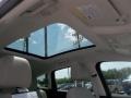 Ingot Silver - C-Max Hybrid SEL Photo No. 12