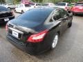 Super Black - Maxima 3.5 SV Photo No. 14