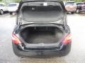 Super Black - Maxima 3.5 SV Photo No. 15