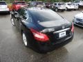 Super Black - Maxima 3.5 SV Photo No. 16