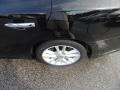Super Black - Maxima 3.5 SV Photo No. 17