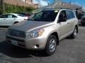 Savannah Metallic 2008 Toyota RAV4 4WD