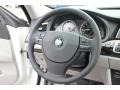 Everest Gray Steering Wheel Photo for 2013 BMW 5 Series #83072569