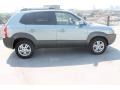 2007 Desert Sage Metallic Hyundai Tucson SE  photo #11