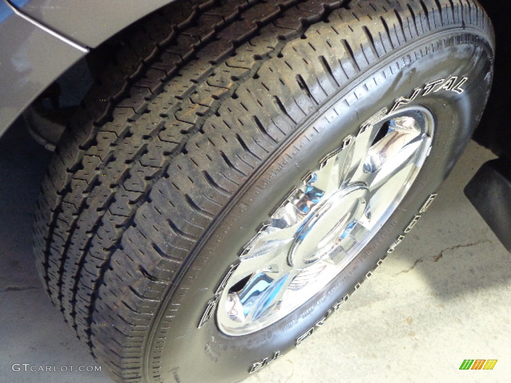 2005 Expedition Limited 4x4 - Dark Shadow Grey Metallic / Medium Parchment photo #9