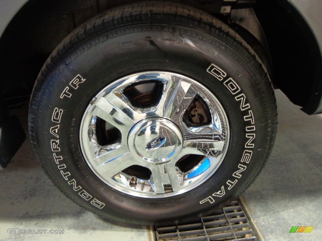 2005 Expedition Limited 4x4 - Dark Shadow Grey Metallic / Medium Parchment photo #11