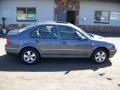 2004 Platinum Grey Metallic Volkswagen Jetta GLS Sedan  photo #6