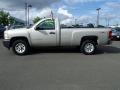 Silver Birch Metallic 2009 Chevrolet Silverado 1500 Regular Cab 4x4 Exterior