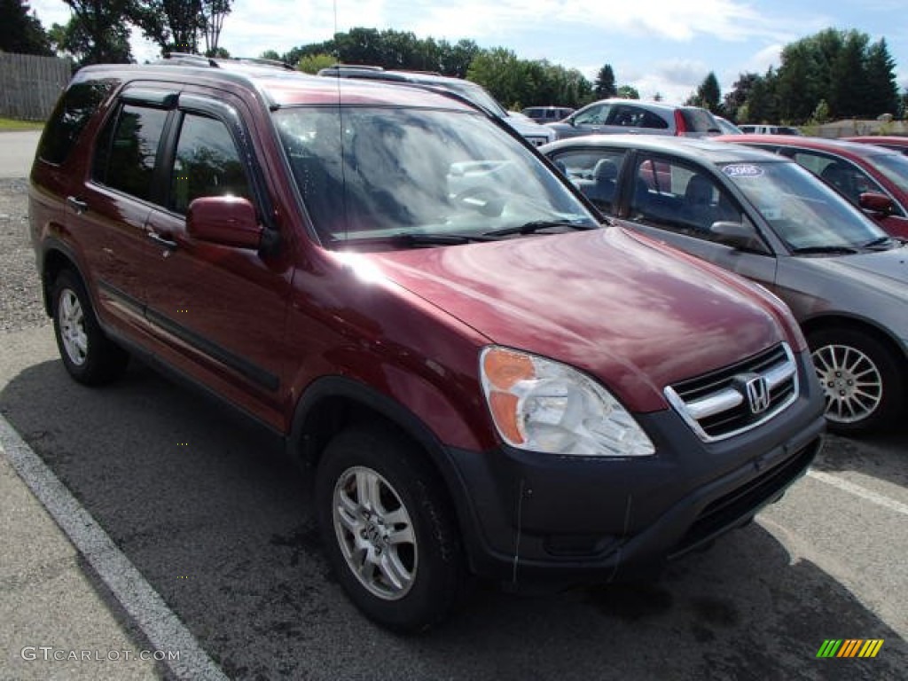 2004 CR-V EX 4WD - Chianti Red Pearl / Saddle photo #1