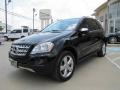 Black - ML 350 4Matic Photo No. 5