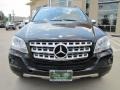 Black - ML 350 4Matic Photo No. 6