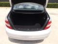 Palladium Silver Metallic - C 300 Luxury Photo No. 11
