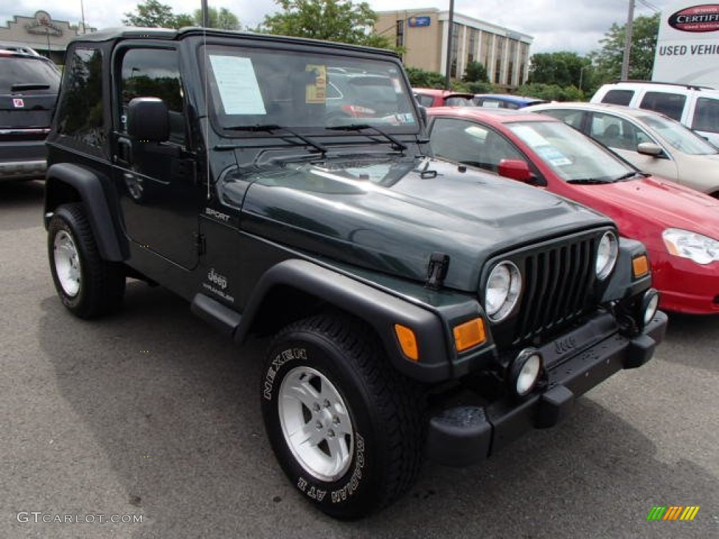 2004 Wrangler Sport 4x4 - Shale Green Metallic / Dark Slate Gray photo #1
