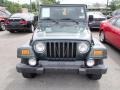 2004 Shale Green Metallic Jeep Wrangler Sport 4x4  photo #2