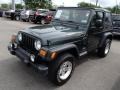 2004 Shale Green Metallic Jeep Wrangler Sport 4x4  photo #3