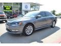 Platinum Gray Metallic - Passat 2.5L SEL Photo No. 1