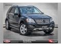 Black - ML 350 Photo No. 1