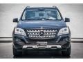 Black - ML 350 Photo No. 2