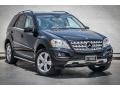 Black - ML 350 Photo No. 11