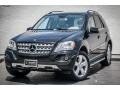 Black - ML 350 Photo No. 12