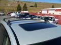 Champagne Gold Opal - B9 Tribeca Limited 7 Passenger Photo No. 9