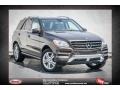 Dakota Brown Metallic - ML 350 4Matic Photo No. 1