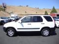 Taffeta White - CR-V EX 4WD Photo No. 4