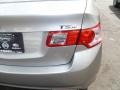 2010 Palladium Metallic Acura TSX Sedan  photo #7