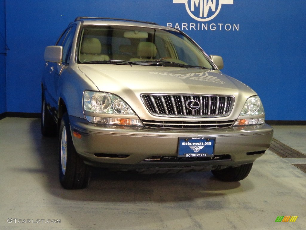 2002 RX 300 AWD - Burnished Gold Metallic / Ivory photo #1