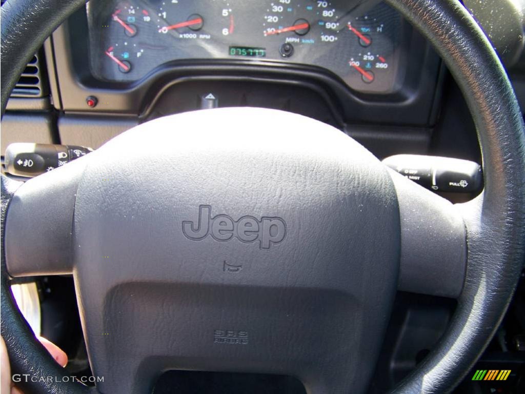 2004 Wrangler Sport 4x4 - Light Khaki Metallic / Dark Slate Gray photo #12