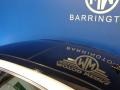 Iridium Silver Metallic - S 65 AMG Sedan Photo No. 30