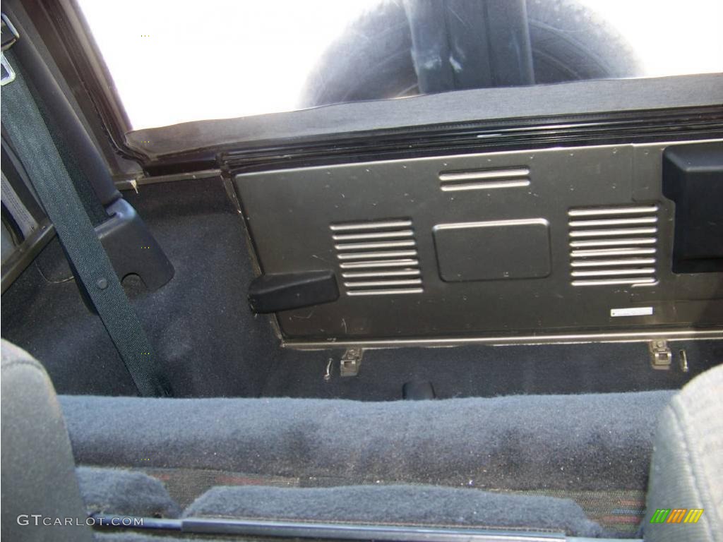 2004 Wrangler Sport 4x4 - Light Khaki Metallic / Dark Slate Gray photo #23
