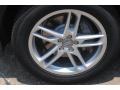 Phantom Black Pearl - Q5 3.0 TFSI quattro Photo No. 4